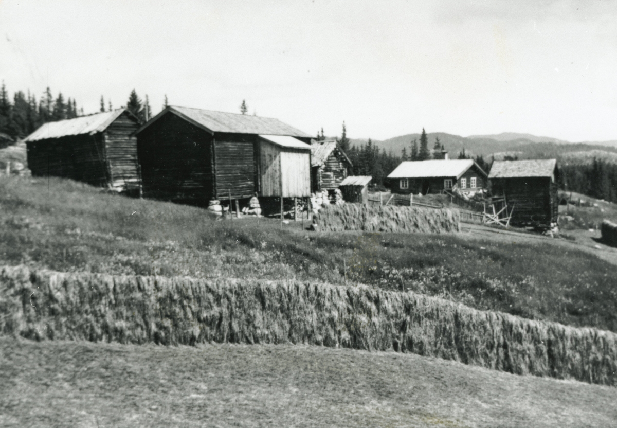 Gjerden i Åsgardane ca.1946