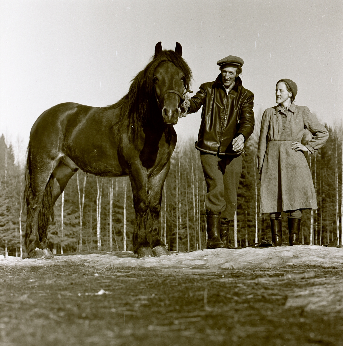 En man och kvinna står intill hästen Sputnik, april 1960.