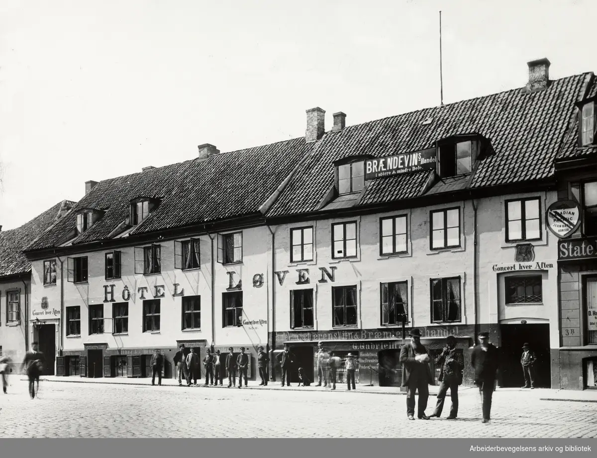 Hotel Løven og Vin- og Brennevinshandel. Ca.1880
