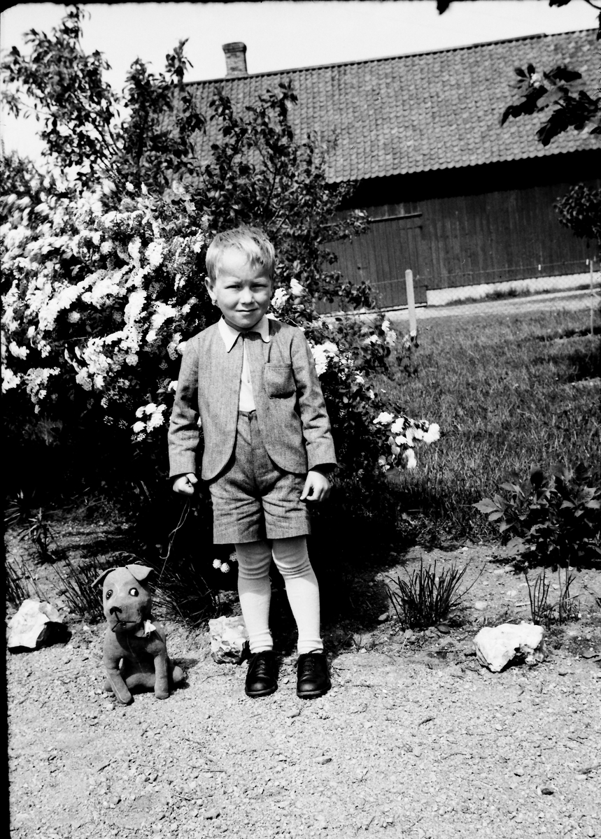 En liten pojke i finkostym står invid en blommande brudspirea med sin leksakshund i koppel. I bakgrunden syns en ladugård.