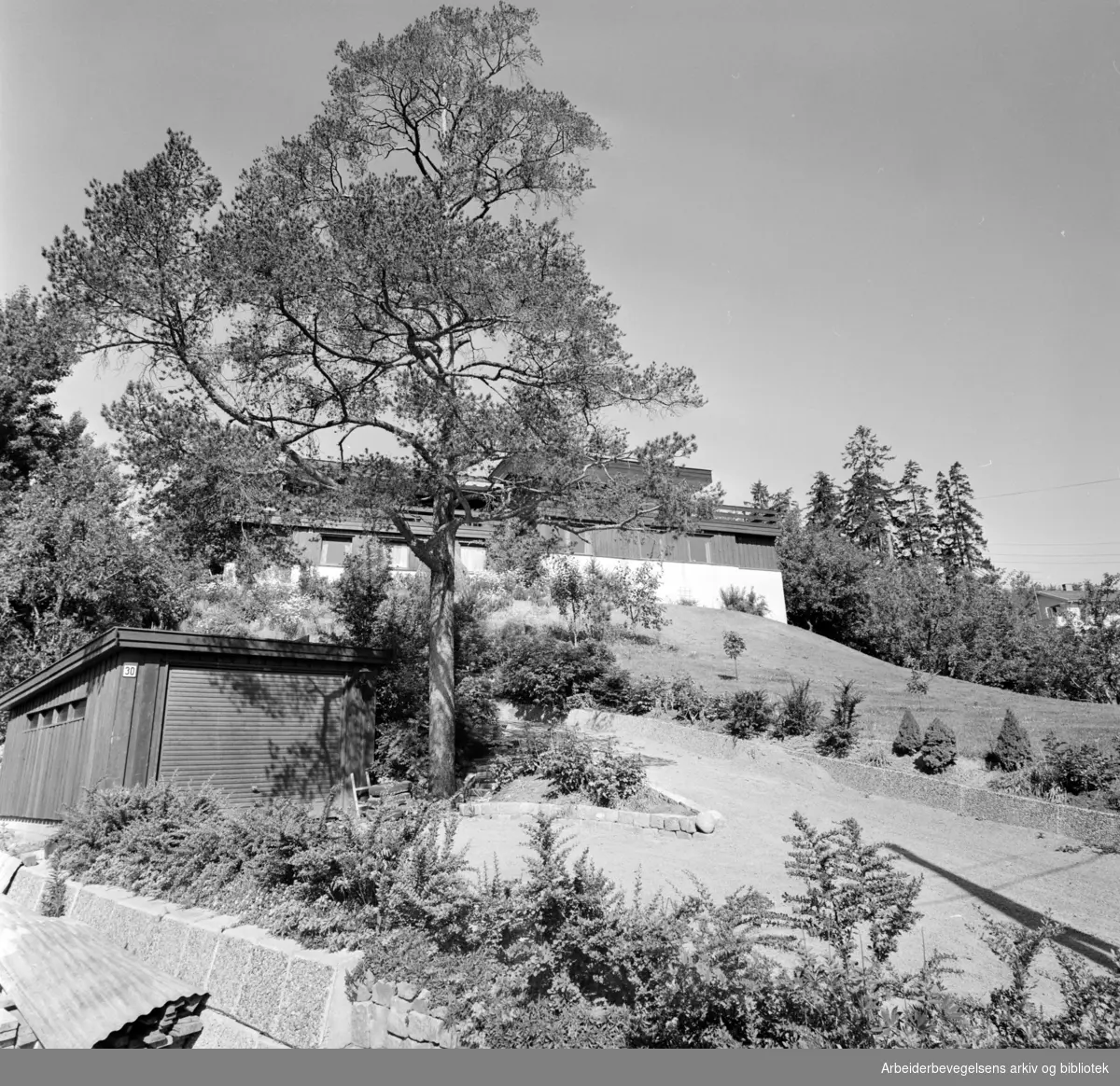 Nordalveien. Vakre hager på Risløkka. Juli 1975