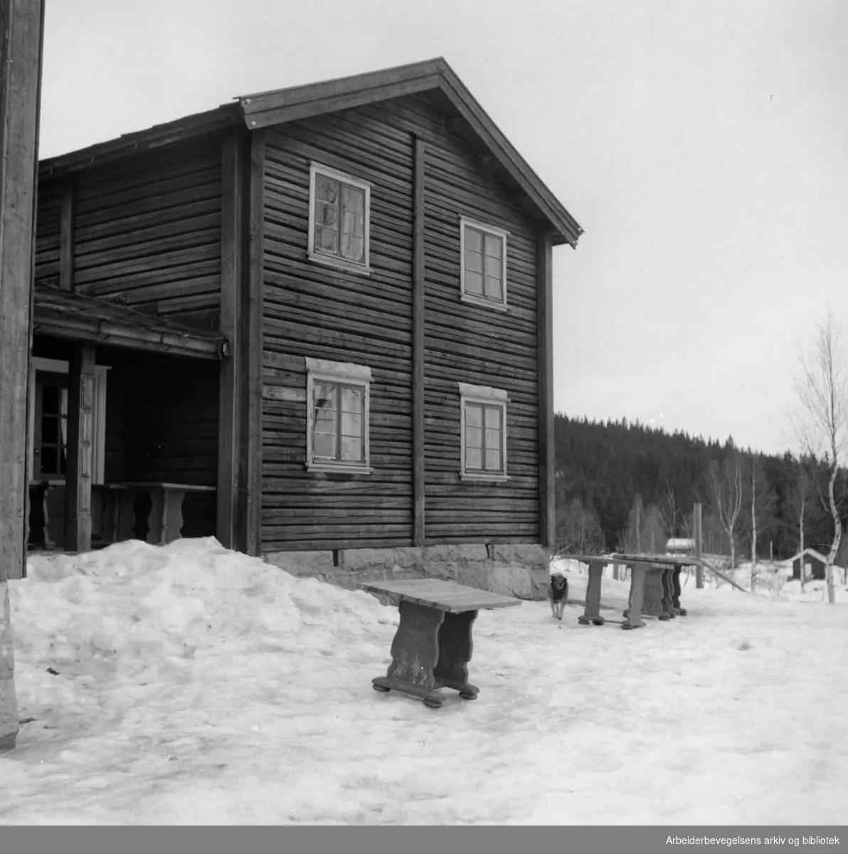 Nordmarka: Kikutstua. Mars 1953