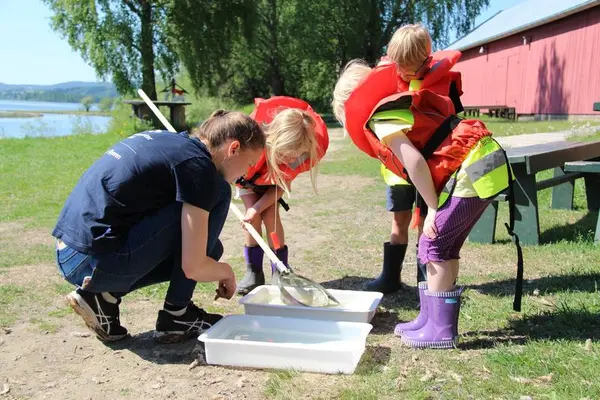 Naturveileder viser barn insekter i vannet. Foto/Photo