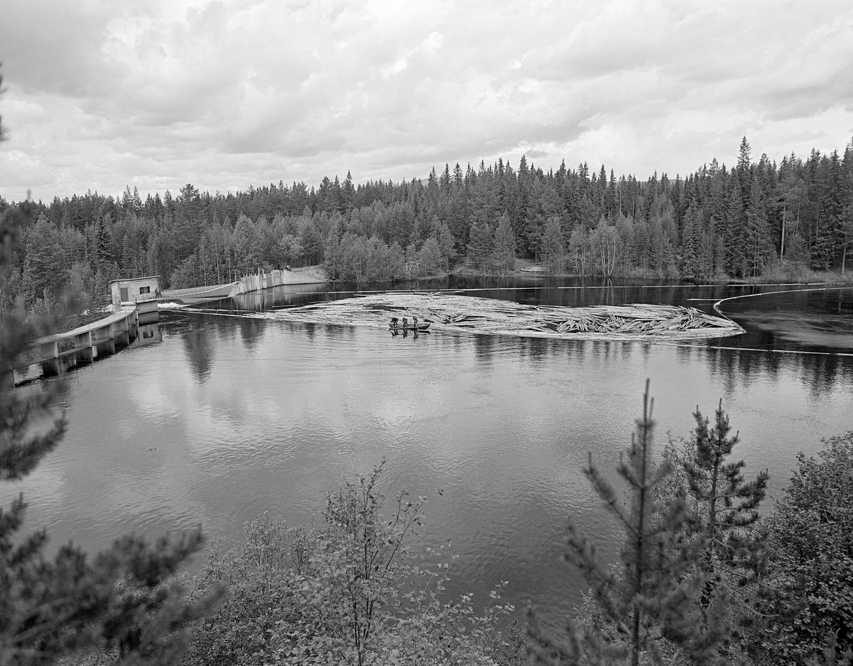 Sluttrensk på kraftverksdammen ved Osfallet i elva Søndre Osa i Åmot i Hedmark i mai 1984, den siste sesongen det foregikk tømmerfløting i denne delen av Glomma-vassdraget.  Fotografiet viser hvordan fløterne, fordelt på to robåter med ei mellomliggende lense, sørget for at løstømmer på vannspeilet ble trukket mot kraftverksdammen.  Der var det lagt ut lenser for å lede virket mot tømmerløpet som var plassert mot det nordre landet, hvor fallhøyden var mindre enn nedenfor den buete hoveddammen mot søndre landside.  Damanlegget på fotografiet skal ha vært ferdigstilt i 1947.  Den ble noe ombygd i 1981.  Ettersom vassdragslovgivinga påla dem som drev tømmerfløting å fjerne installasjoner i vann ved opphør av virksomheten, ble tømmerløpet ved Osfallsdammen revet umiddelbart etter at fløtinga på dette fotografiet var avviklet.  Energiproduksjonen ved denne lokaliteten foregår i en kraftstasjonsbygning fra 1914, cirka en kilometer nedenfor den avbildete dammen, hvor det er installert to francisturbiner som kan yte 5.5 megawatt.  Den opprinnelige dammen ble ødelagt ved et dambrudd i 1916.  Det nåværende kraftverket utnytter et fall på 41 meter i elva Søndre Osa.  Vegen på sørsida av vassdraget fører ned til kraftstasjonen og derfra mot Fylkesveg 215 ved Oset.