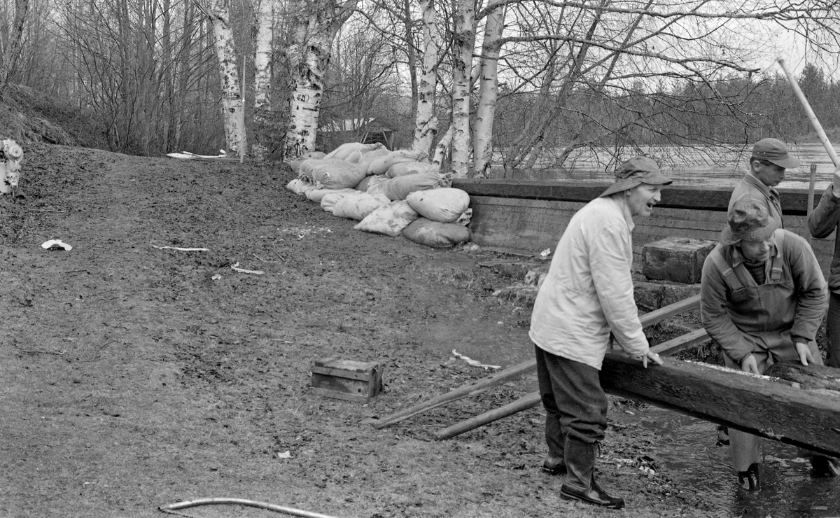 Flomsikringsarbeid ved Kjellåsdammen i elva Flisa i Åsnes kommune i Solør våren 1959.  Fotografiet skal ha vært tatt omtrent når flommen kulminerte.  Til høyre i forgrunnen ser vi tre karer som løftet tunge bjelker på baksida av damarmen på elvas nordside.