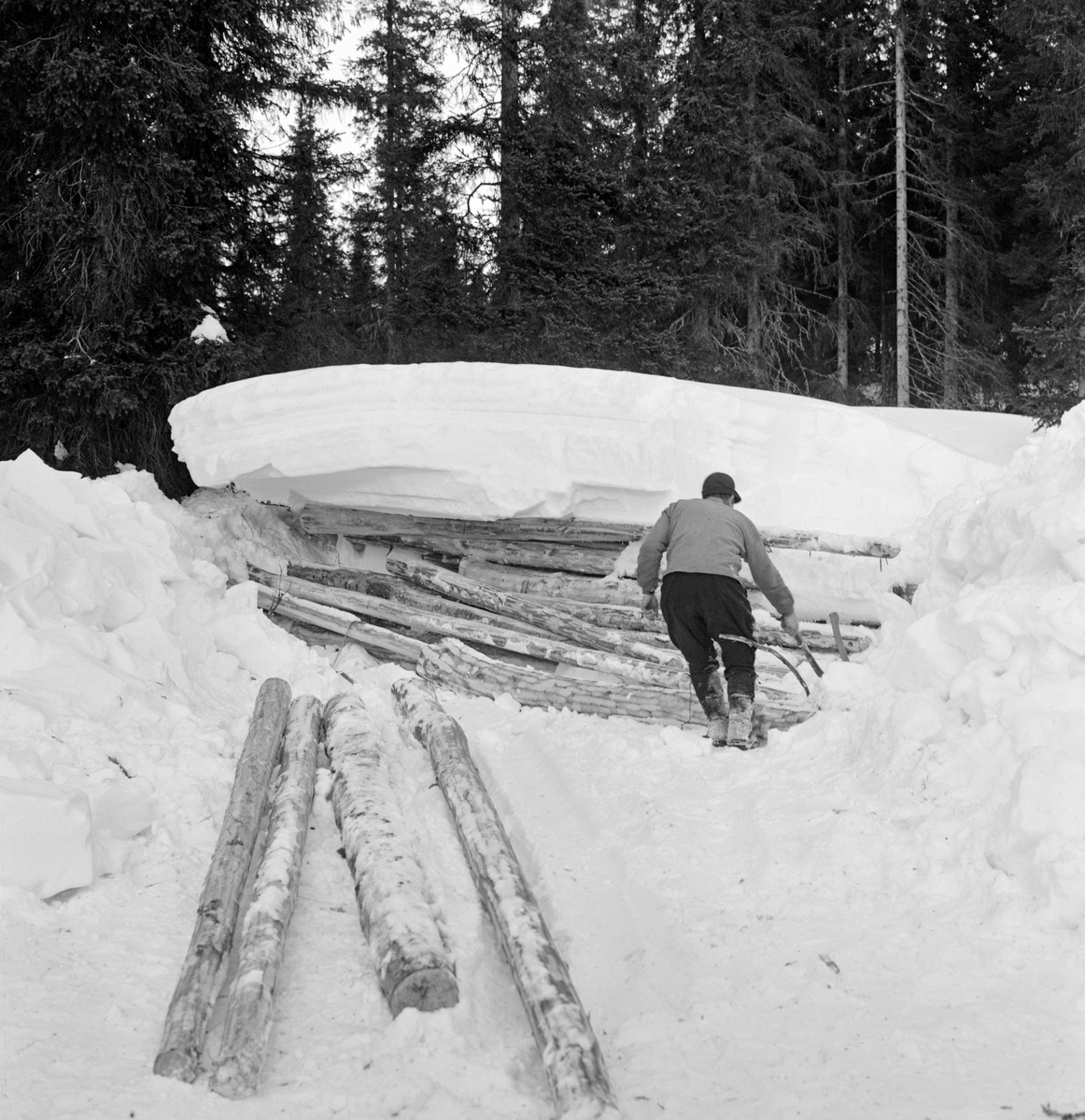 Framhenting av tømmer for hankekjøring i Vestre Gausdal i Oppland vinteren 1967.   Bildet viser ei lunne med barket slipvirke som åpenbart hadde ligget nedsnødd en periode før kjøringa startet.  Tømmerkjøreren har derfor måttet måke vekk noe av snødekket, slik at han kunne trekke stokkene fram i kjørevegen.   Her ser vi skogsarbeideren bakfra, antakelig idet han skulle dra fram en av stokkene.  På marka i forgrunnen lå det fire stokker som var klare for kjøring.  Mannen på bildet er antakelig Reidar Solberg.

I Vestre Gausdal var liene ned mot bygda svært bratte.  I slike utforbakker var det nesten umulig å kjøre tømmer med rustning eller andre sledetyper før de moderne skogsbilvegene kom.  Her ble virket hentet i hankevendinger fra skogene øverst liene ned mot fløtingsvassdraget i dalbotnen.