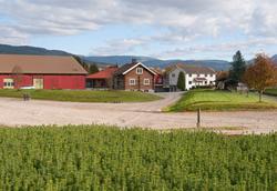 Noe av bebyggelsen ved Telemark planteskule på Gvarv i Sauhe