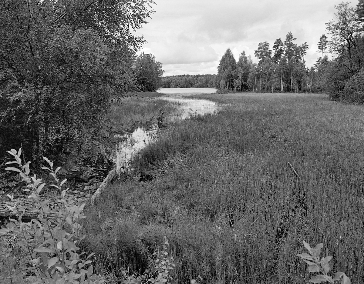 Gjengrodd avløp fra østre ende av Skinnarbutjernet ved Otteid – på høydedraget mellom innsjøen Stora Le (Lesjön, 102 m. o. h.) i grensetraktene mellom Värmland og Dalsland på svensk side og Øymarksjøen (107 m. o. h.) i Østfold på norsk side.  Her fikk den tekniske pioneren Engebret Soot (1786-1859) i perioden 1925-1827 bygd en såkalt «nivåkanal» med henblikk på overføring av tømmer fra skogtraktene og vassdraget på svensk side til Haldenvassdraget og norske trelasthandlere.  På bakkekammen mellom de to nevnte innsjøene ligger altså Skinnarbutjernet (113 m. o. h.).  Fra Stora Le og opp til dette tjernet ble det bygd en trallebane for tømmer, som ble overført til tjernet og fløtet vestover, der Soot fikk gravd en kanal videre mot Øymarksjøen.  Ved vestenden av dette vannløpet var det en kjerrat, som gjorde det mulig å løfte tømmerstokkene opp fra kanalen og føre dem ned mot Øymarksjøen.  Derfra kunne de fløtes videre mot Halden.  Otteid kanal var i drift helt fram til 1956, altså i 129 år.  Dette fotografiet er tatt 27 år etter at bruken av anlegget hadde opphørt, noe som forklarer gjengroinga.

En liten historikk om tømmerfløting og kanaliseringsarbeid i Haldenvassdraget finnes under fanen «Opplysninger».