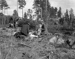 Kvilestund under jakttur i skogen, antakelig i Telemark, høs