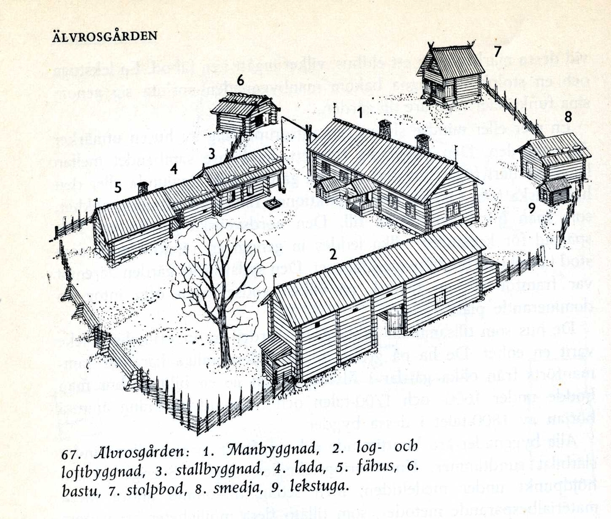 Älvrosgården skapades på Skansen under åren 1915-1916. Byggnaderna kommer från Älvros socken i sydöstra Härjedalen och är sammanförda med utgångspunkt i sin ålderdomliga karaktär. De har samlats in för att på Skansen ge en bild av hur man bodde i Härjedalen under 1600-, 1700- och i viss utsträckning ännu i början på 1800-talet. Älvrosgården består av ett boningshus, samt två uthuslängor. I fähuslängan ryms fähus, lider, hölada, stall med foderrum samt avträde. Uthuslängan rymmer sliplider, loftbod, portlider, loge och vedlider. Framför stallet ligger gårdsbrunnen med sin stora brunnsvipp. Utanför mangården ligger smedja, bastu, stolpbod, lekstuga. Ytterligare en bit bort finns utmarksbebyggelse i form av ett eldhus och två hölador.
