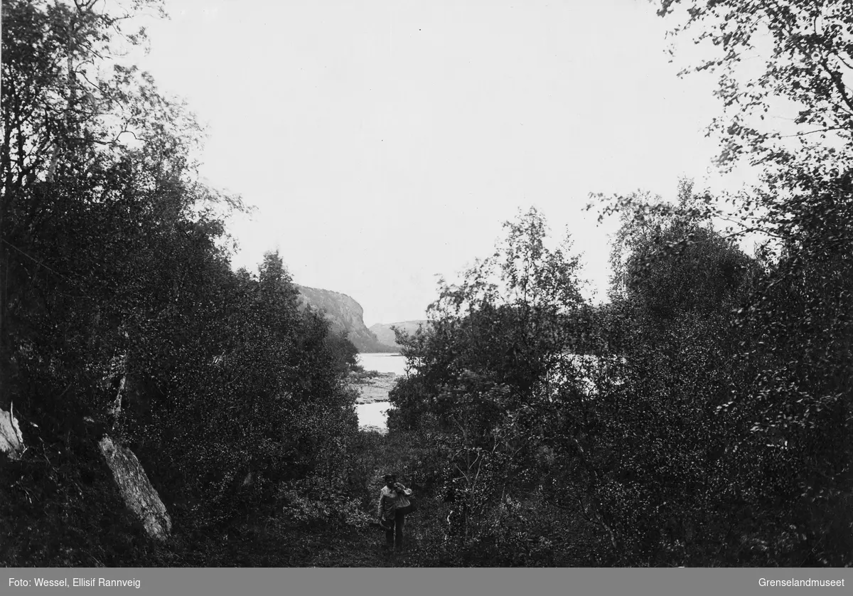 Vandring mellom Harefoss og Skoltefoss, Pasvik 1897.