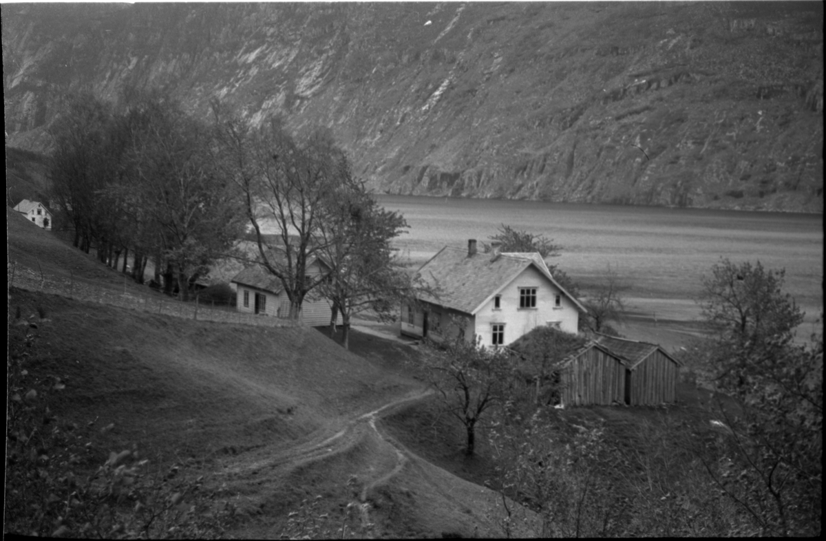 En gård på Østerhus på Vadla ved Jøsenfjorden sett fra ulike vinkler. Gården blant annet fotografert fra Høgeheia. På bilde nr. 2 og 4 kommer også naust, skip ved kai og elva Ulla med.