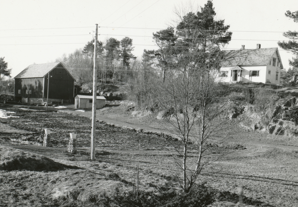 Prospektfotografier av gården Vågnes i Sula kommune.