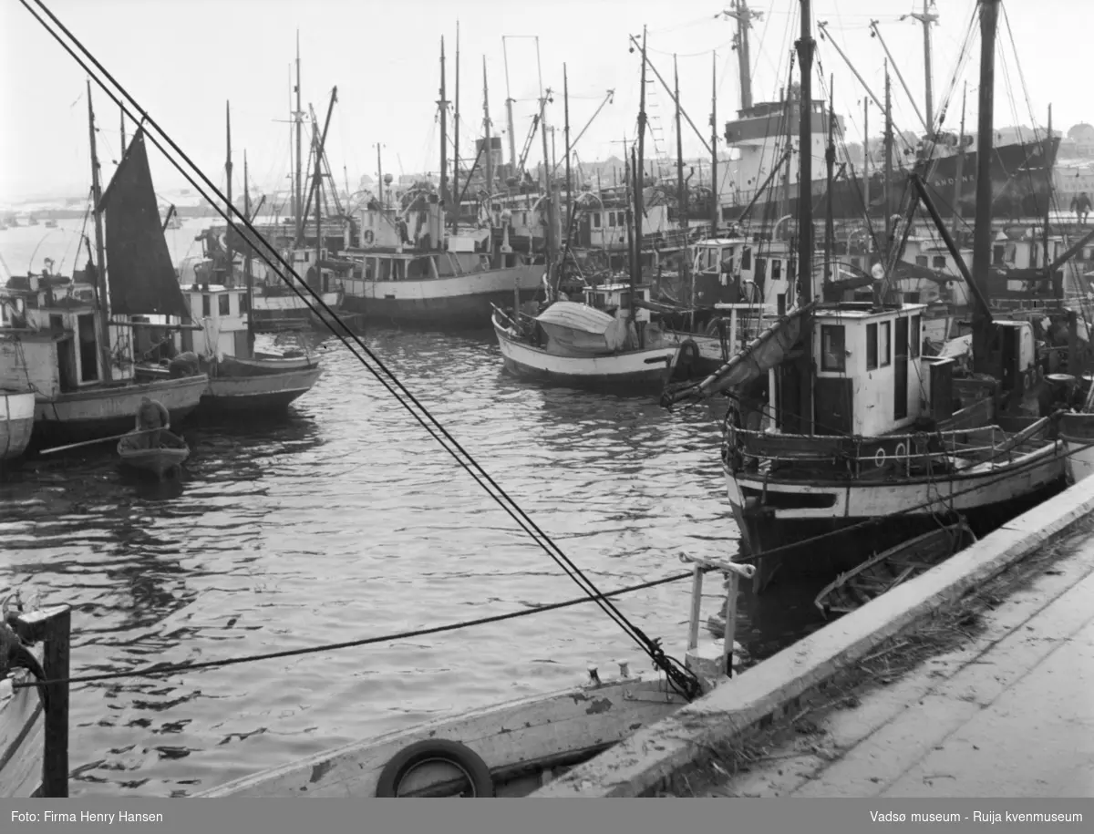 Vadsø havn 1952. Bildet er tatt fra kaia mot nordvest. Mange fiskebåter, en mann i robåt. To større fartøy ligger ved dampskipskaias utstikker.