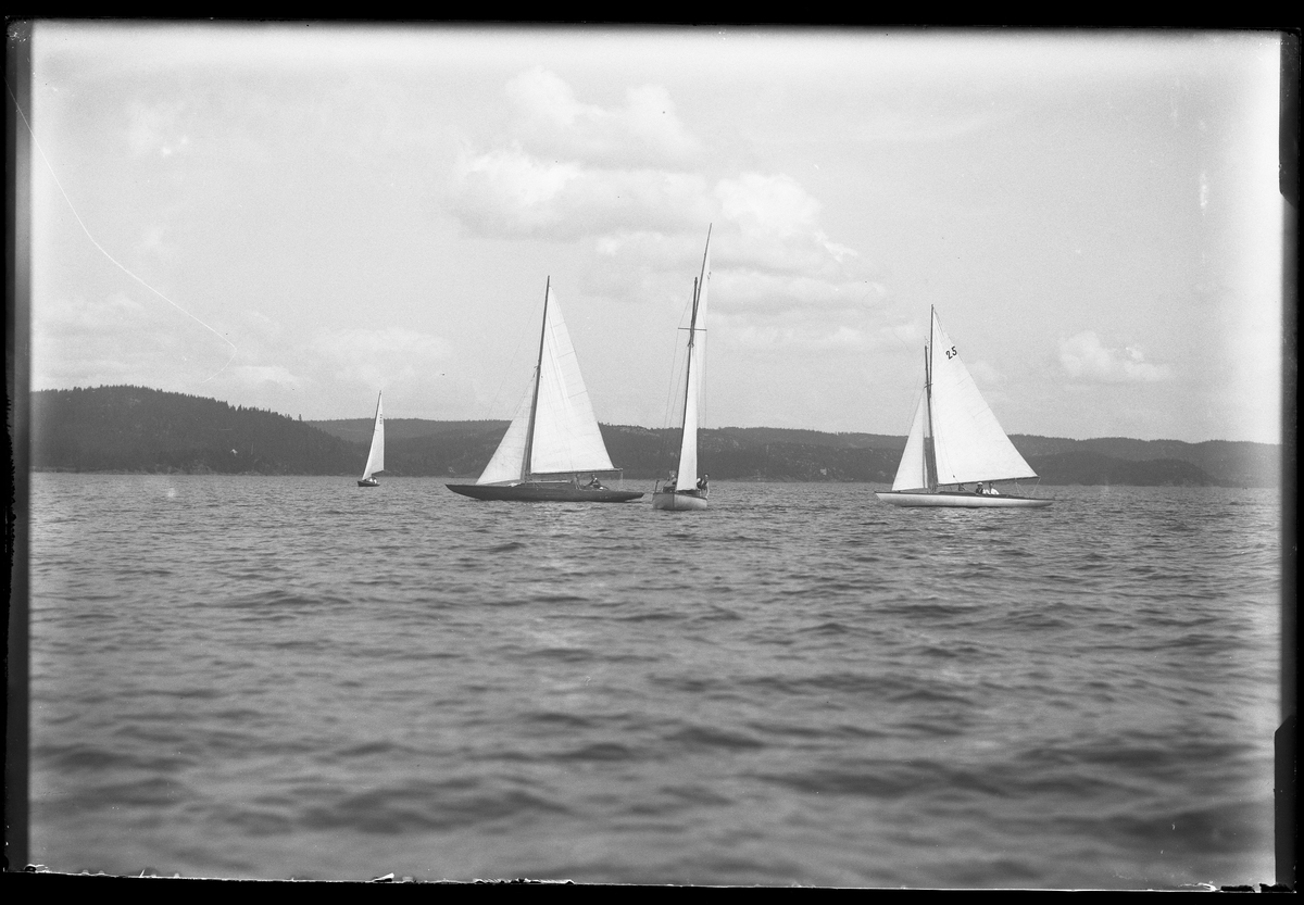 Fyra segelbåtar fotograferade i samband med en kappsegling.