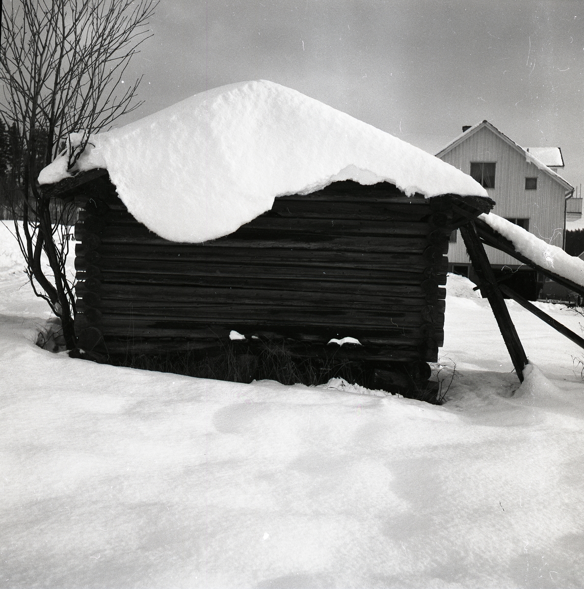 "Snödraperi" på taket till en lada. I bakgrunden syns ett boningshus, 18 december 1959.