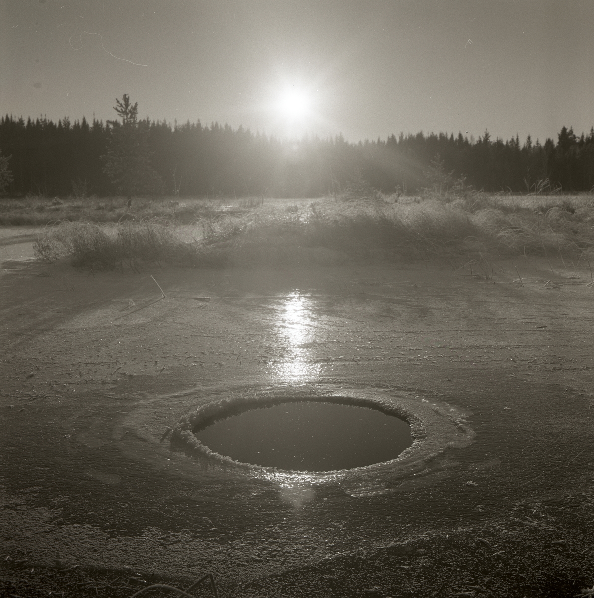 Vårsolen lyser över källan vid Stråsjön, vårvintern 1972.