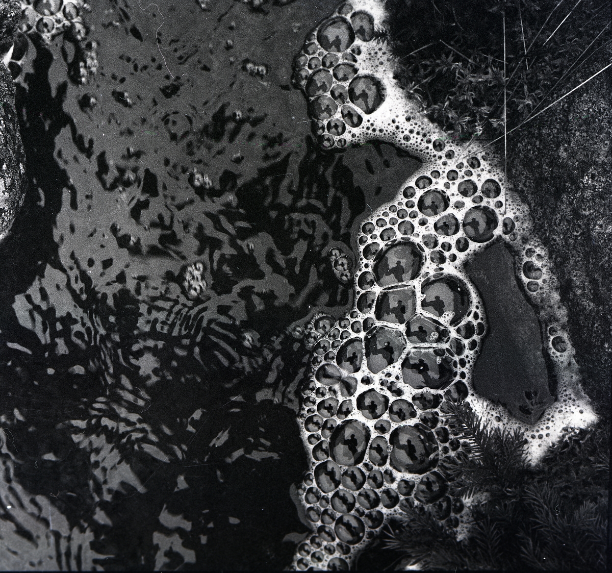 Bubblor bildas på vattenytan intill kanten i trakterna runt Knyssla den 1 maj 1959. I bubblorna syns spegling av fotografen.