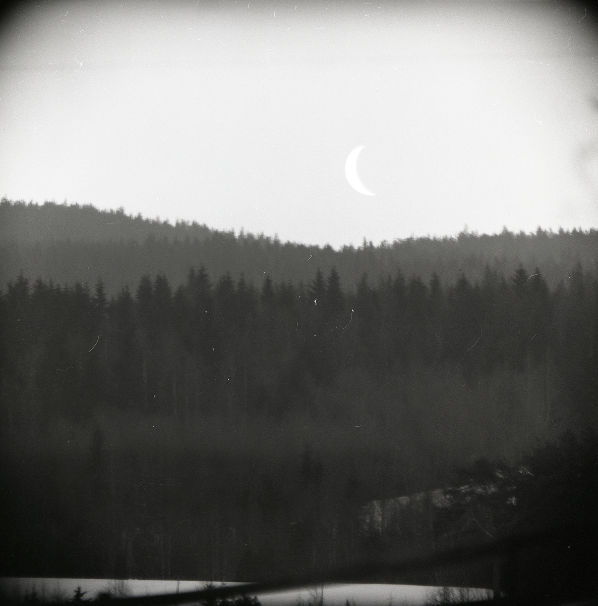 En halvmåne på himlen ovanför skogen, klockan 8 på morgonen den 5 januari 1970.