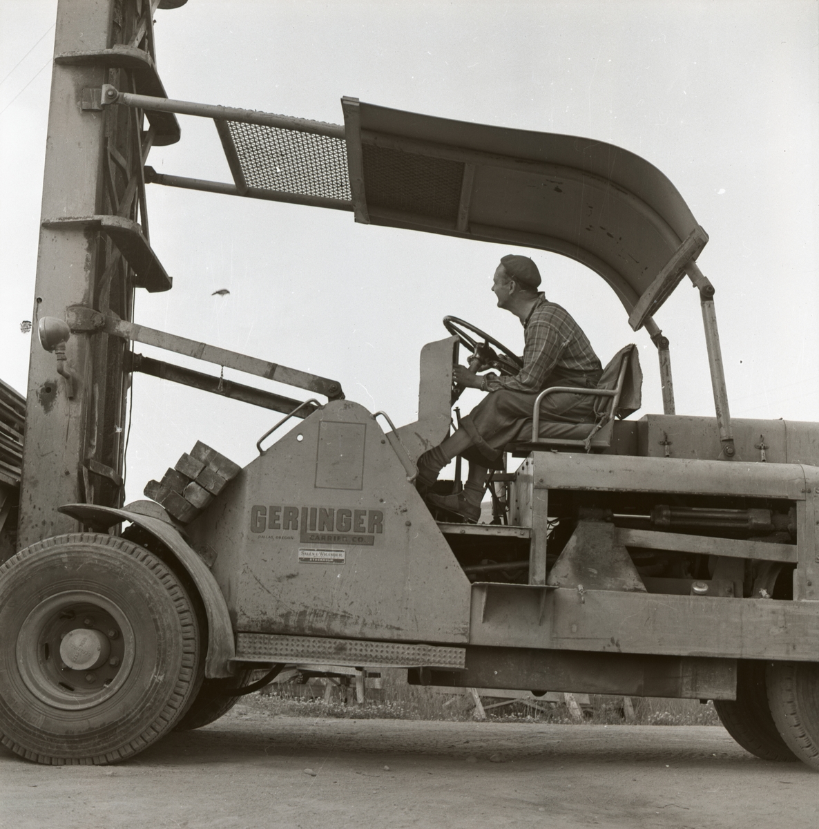 En man kör en truck med ett sädesärlbo inuti och sädesälorna flyger runt den för att vakta sitt bo, 13 juli 1955.