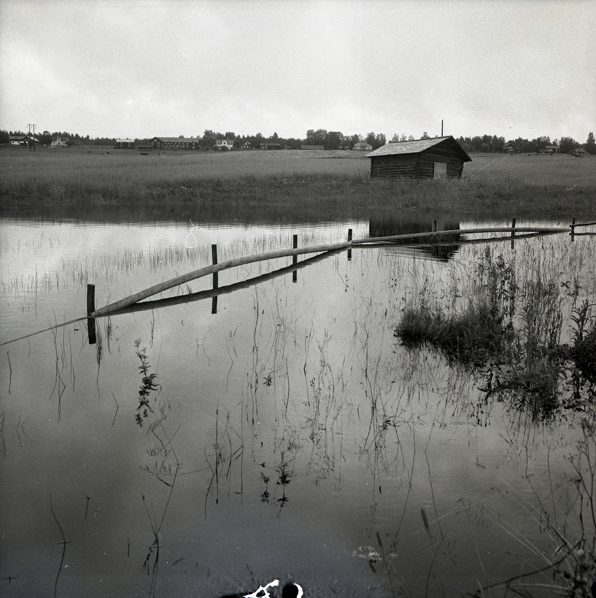 En översvämmad å, 22 augusti 1956.
