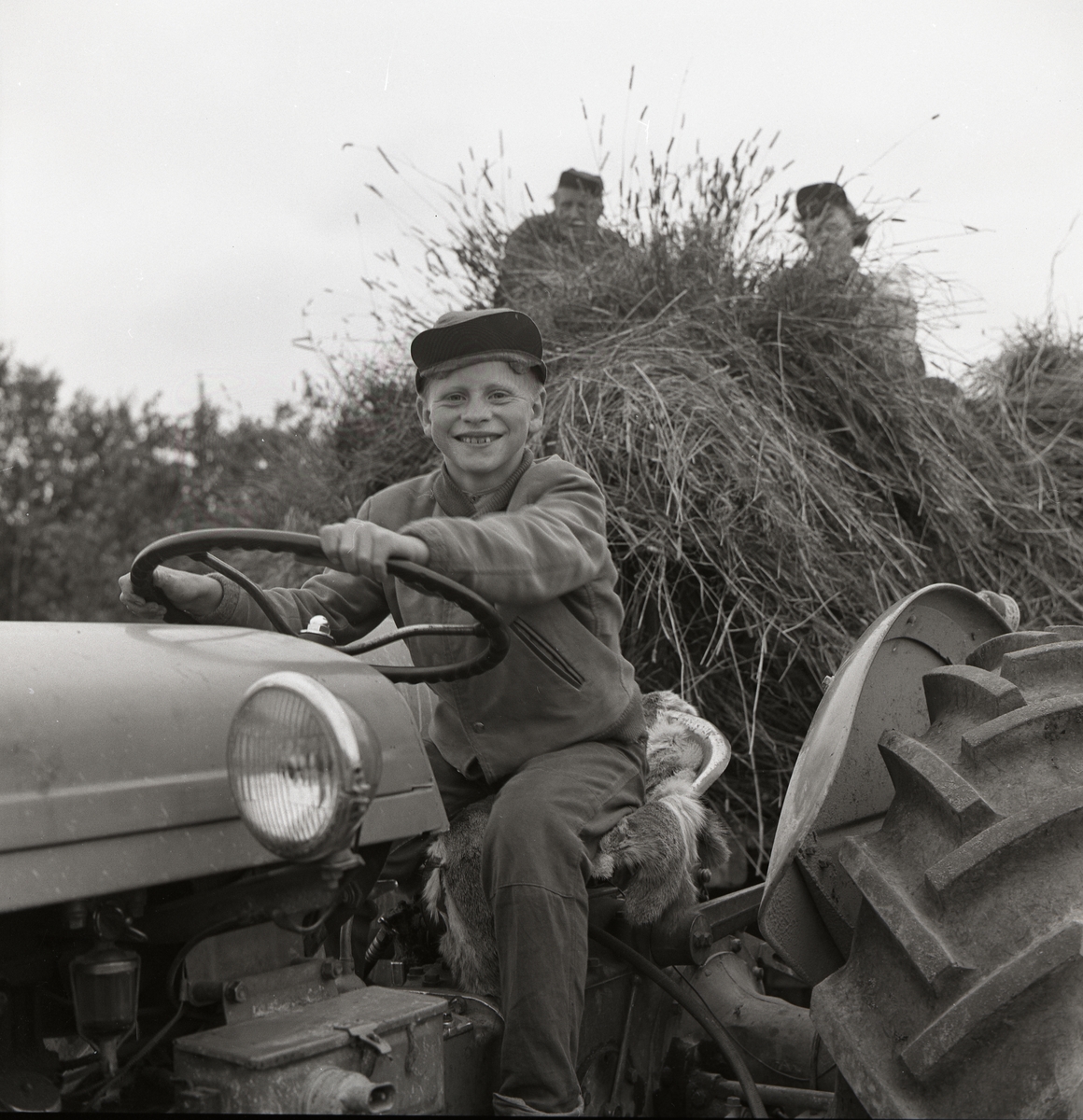 En pojke kör en traktor med ett släp som transporterar nyslagen skörd. På släpet sitter två män, augusti 1960.