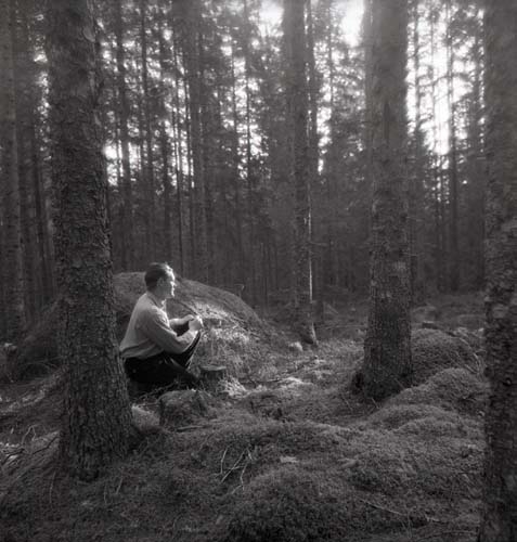 Hilding sitter på huk intill en stor sten i skogen och solen lyser igenom träden mot honom, 1949.
