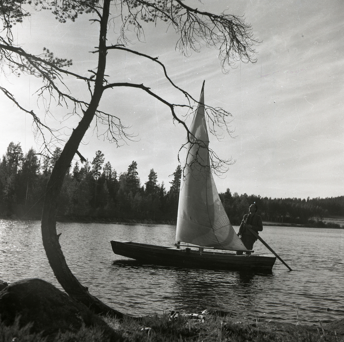 Järp Ante seglar på Lillnien, 11 september 1951.
