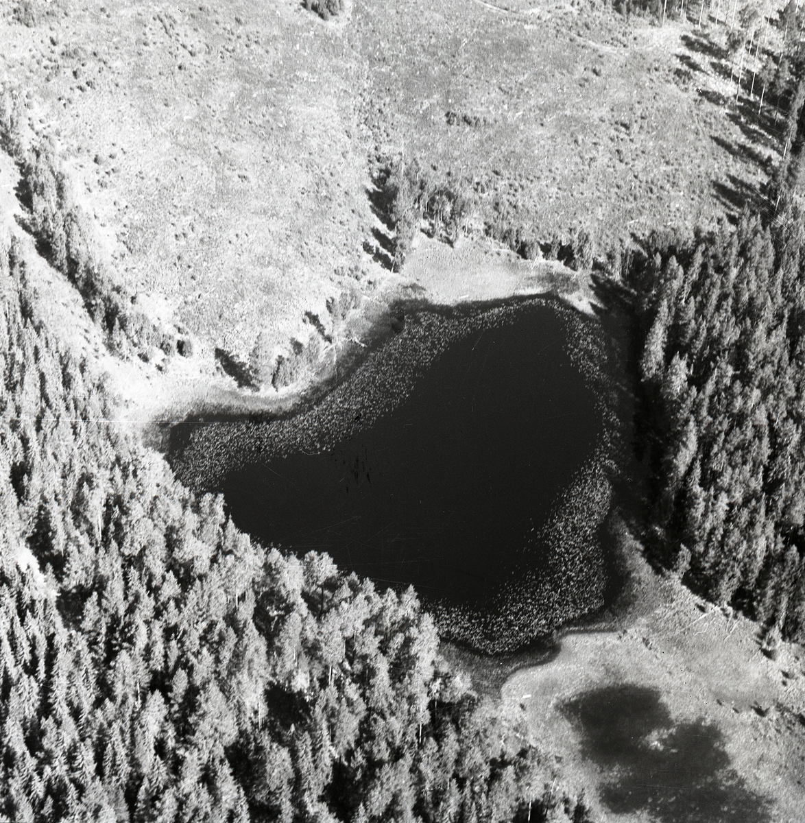 Ett flygfoto föreställande en tjärn omgiven av tall- och granskog, Hembygdsbyn den 9 juli 1977.