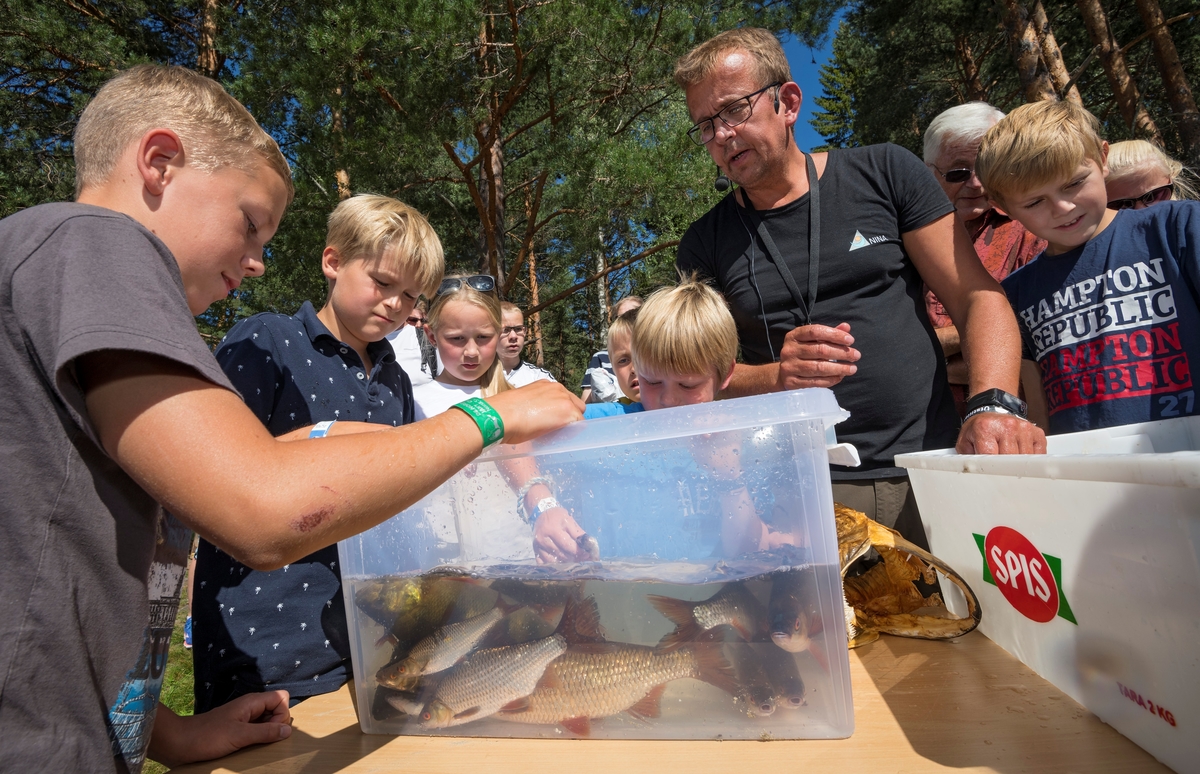 Jon Museth fra NINA forteller om fisk fra Glomma etter opptaket fra storruse på Innlandsfisketorget på Prestøya under De nordiske jakt- og fiskedager 2018 på Norsk skogmuseum, Elverum, Hedmark.