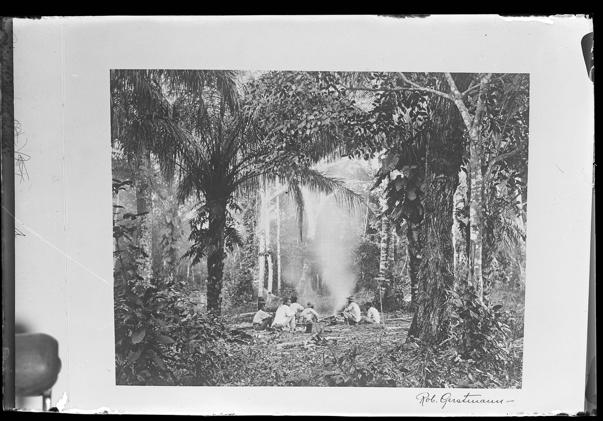 Ett antal människor sitter samlade runt en eld i ett djungelliknande landskap. Bilden är signerad Rob. Gerstmann. I Harald Olssons anteckningar står det "27 rep. för Folke Olsson".