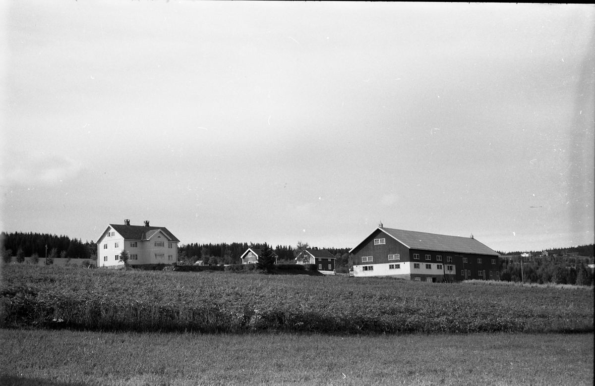 To bilder av gården Kløvstad i Øverskreien, høsten 1954.