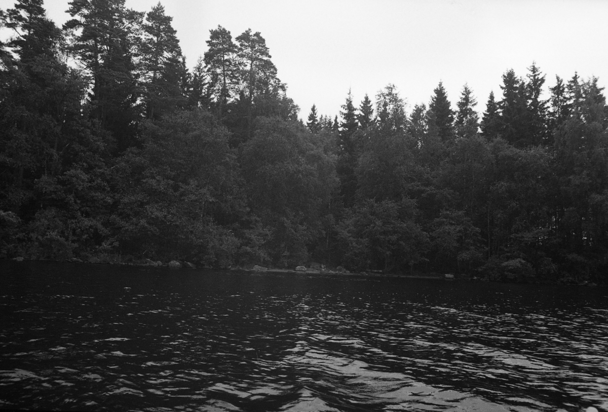 Fotografier tagna av ön Gettersö i södra delen av sjön Bolmen, Ljungby kommun, Småland