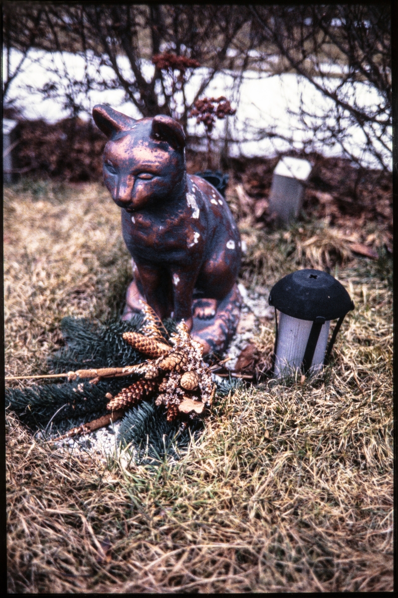 Smådjurskyrkogården i Trollhättan
