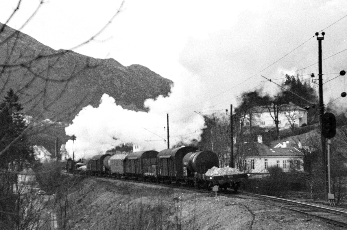 Damplokomotiv type 31b nr. 401 med godstog fra Oslo til Bergen, tog 5515. ved Fjøsanger stasjon.