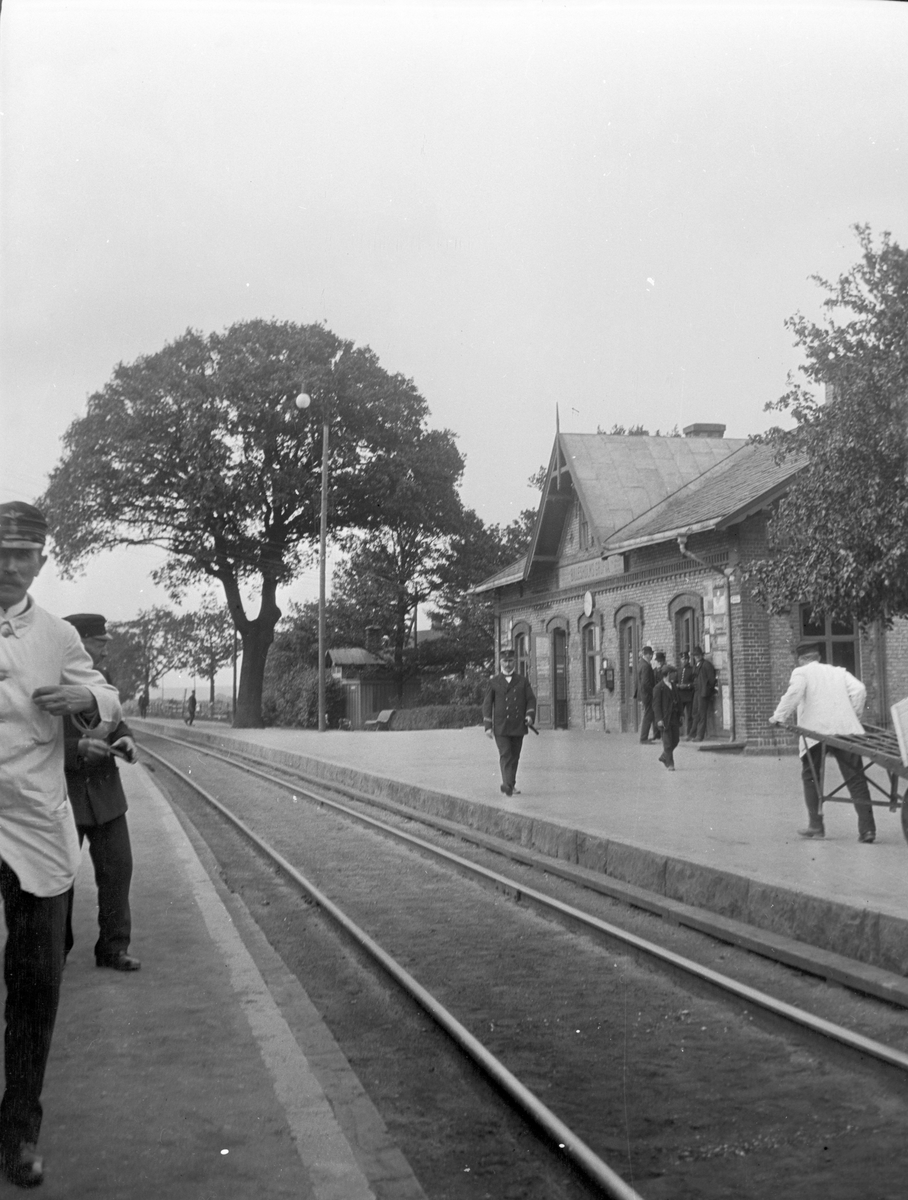 Den gamla eken på stationen