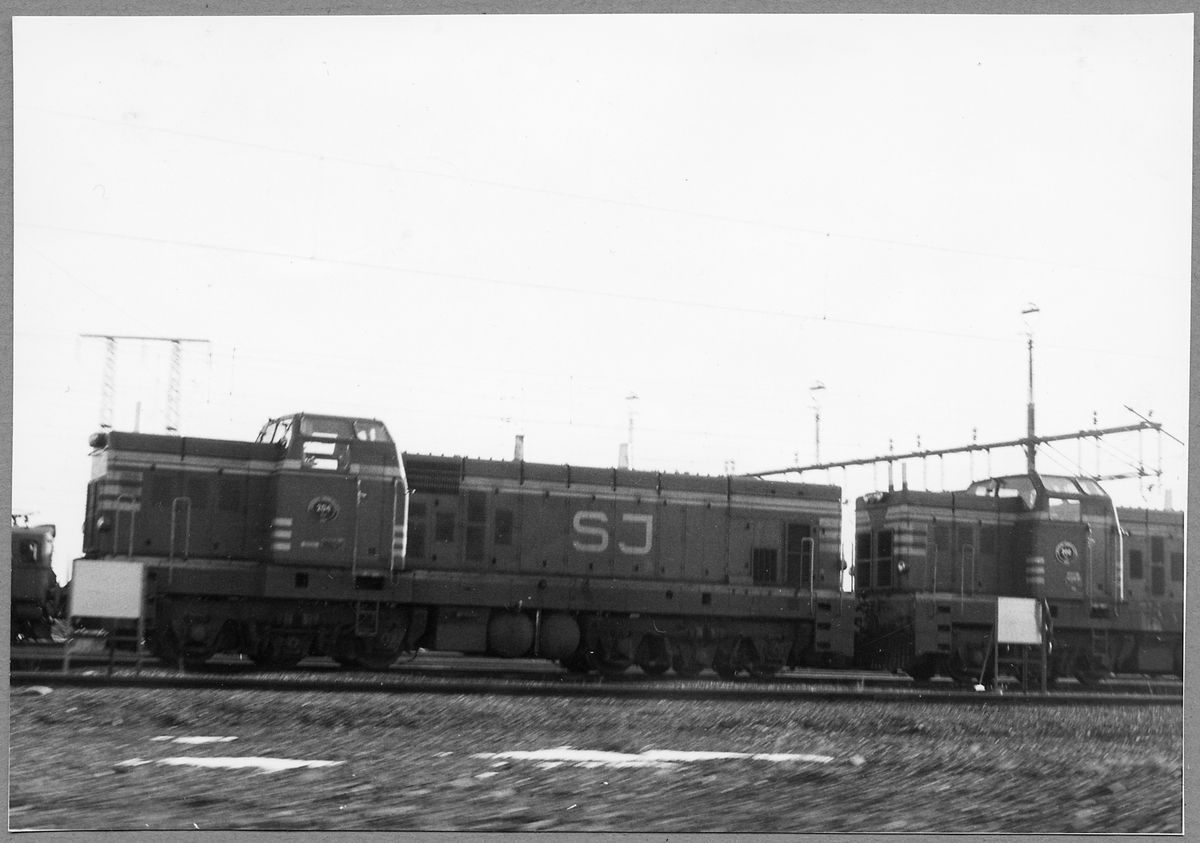 Dieselelektriskt linjelok SJ T41 nr 204.

Loket är målat huvudsakligen i SJ röd färg kod 92, med gula ränder SJ gul 68 och mörkblått ramverk i SJ blå 27. Röda plogar i båda ändarna målade i Syntema röd 88 från SJ:s centrallager. Boggiramen och delar till bromslänkade är målade i SJ grå 15. Trycktluftsstativet i fronten är målad med SJ grå 11. Märkningen är utförd i så nära 1970-talets utförande som möjligt.
