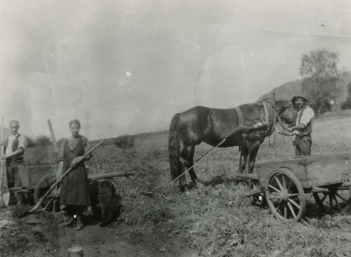 Portrettfotografi av bønder som arbeider med jorda i Sør-Tirol, Italia. Mannen kjører opp reine med hest.