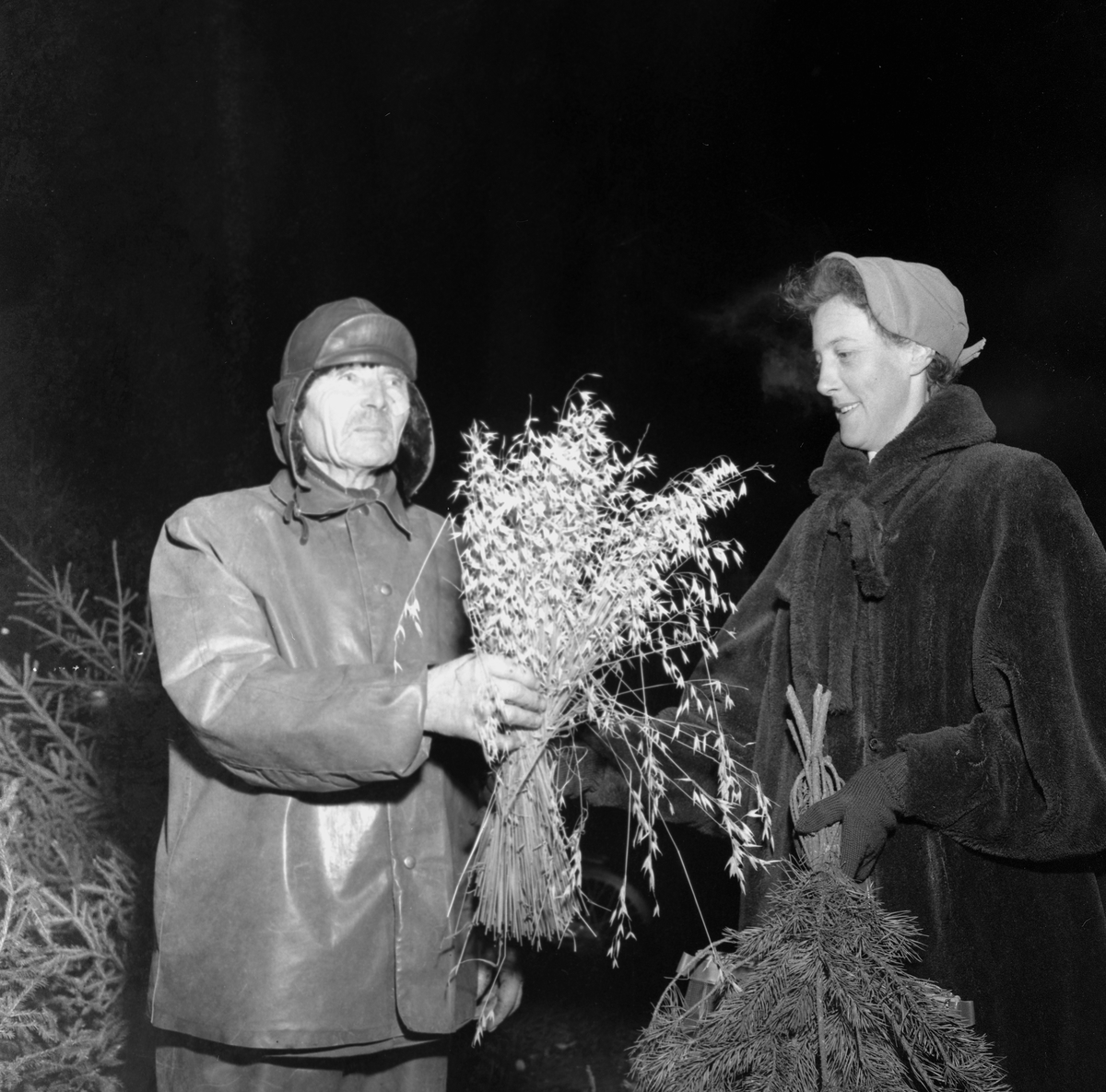 Julgransförsäljning.
December 1956.