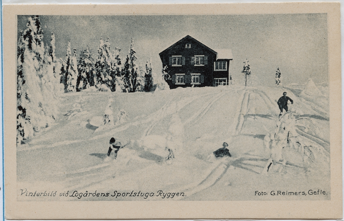 Vintermotiv från Logårdens Sportstuga i Ryggen.