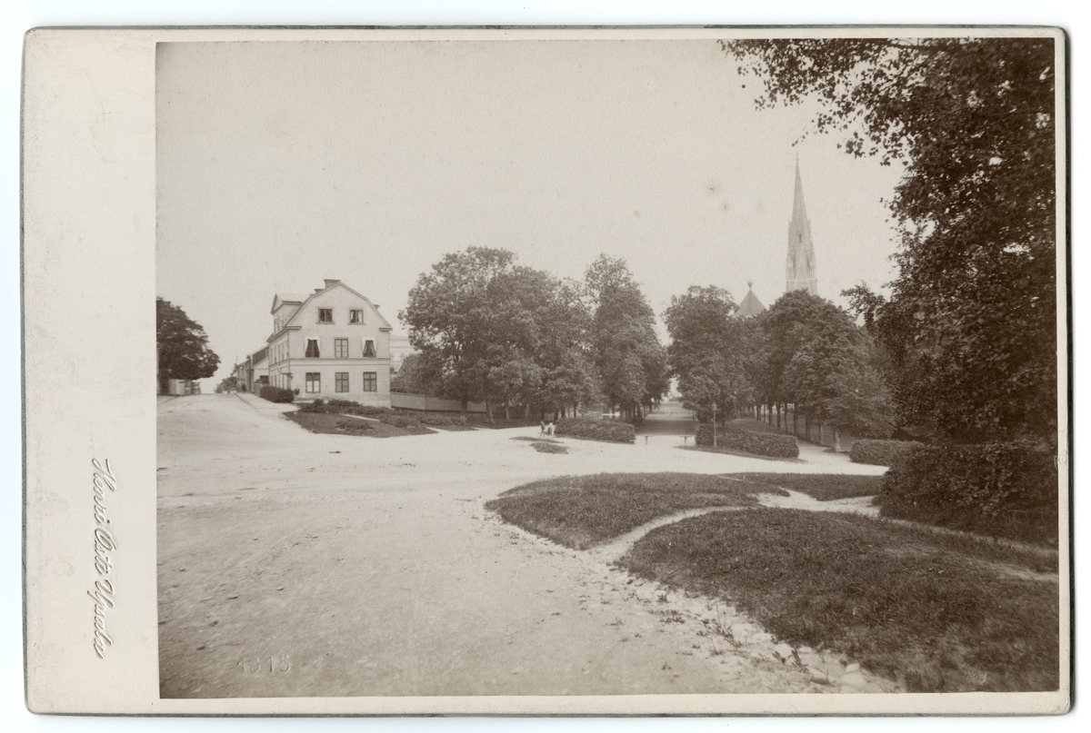 Reprofotografi - vy mot Odinslund, Uppsala före 1914
