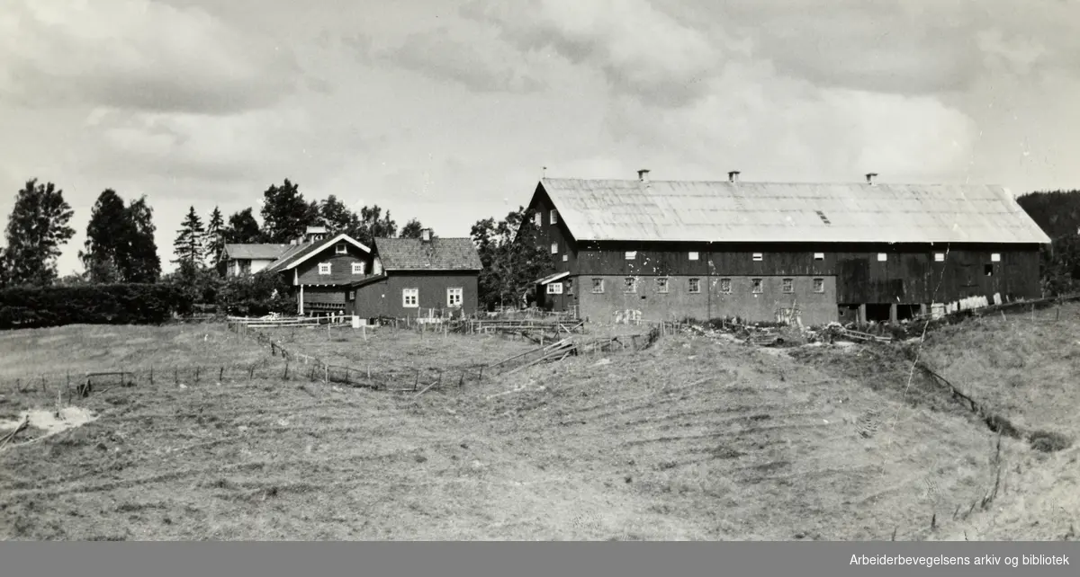 Fossum. Nedre Fossum gård. Juli 1964