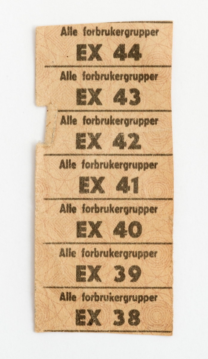 Tre deler av rasjoneringskort utstedt på Ivar Stenseth, Hernes. To av kortene er merket "Skogsarbeiderkort". 
Et kort gjelder for tiden fra 28. august til 8. oktober 1950. Det andre kortet gjelder for tiden 7. november 1949 til 18. desember 1949. Den tredje delen er en strimmel merket EX 38-EX 44. Det ble i perioder utstedt ekstra rasjoneringskort, tilleggskort, til skogsarbeidere på grunn det fysisk krevende arbeidet. Rasjoneringen av matvarer og en rekke andre forbruksvarer som ble innført under andre verdenskrig ble videreført av norske myndigheter i de førte etterkrigsårene. 

[For opplysninger om rasjoneringskort generelt, se henvisning i referanserubrikken til artikkel på nettstedet wikipedia. no]