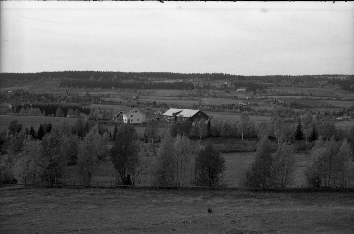 Landskapsbilde fra Øverskreien jøsten 1955. Gården Kløvstad midt i bildet.