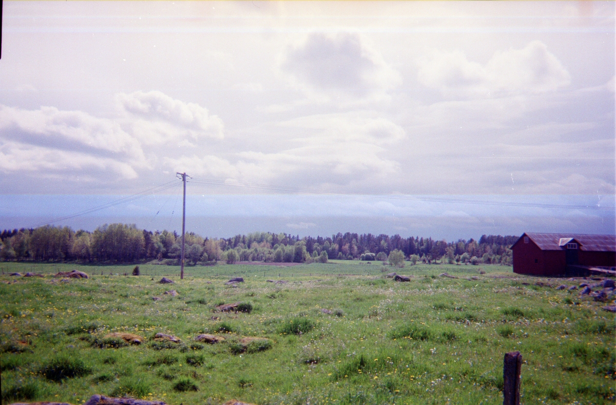 Ängsmark, Nolsterby, Söderön, Börstils socken, Uppland maj 2002