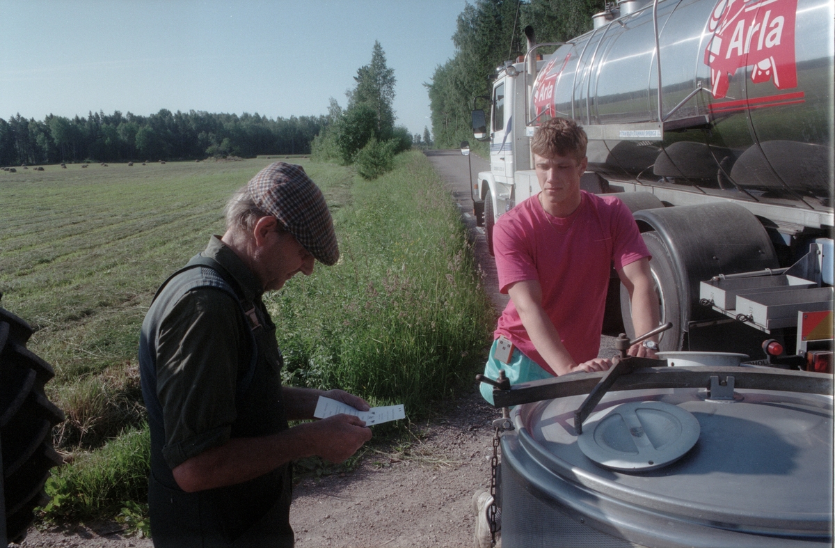 Mjölken pumpas över från tanken till mjölkbilen, Lönnholmen, Gräsö socken, Uppland 1994 - 1995