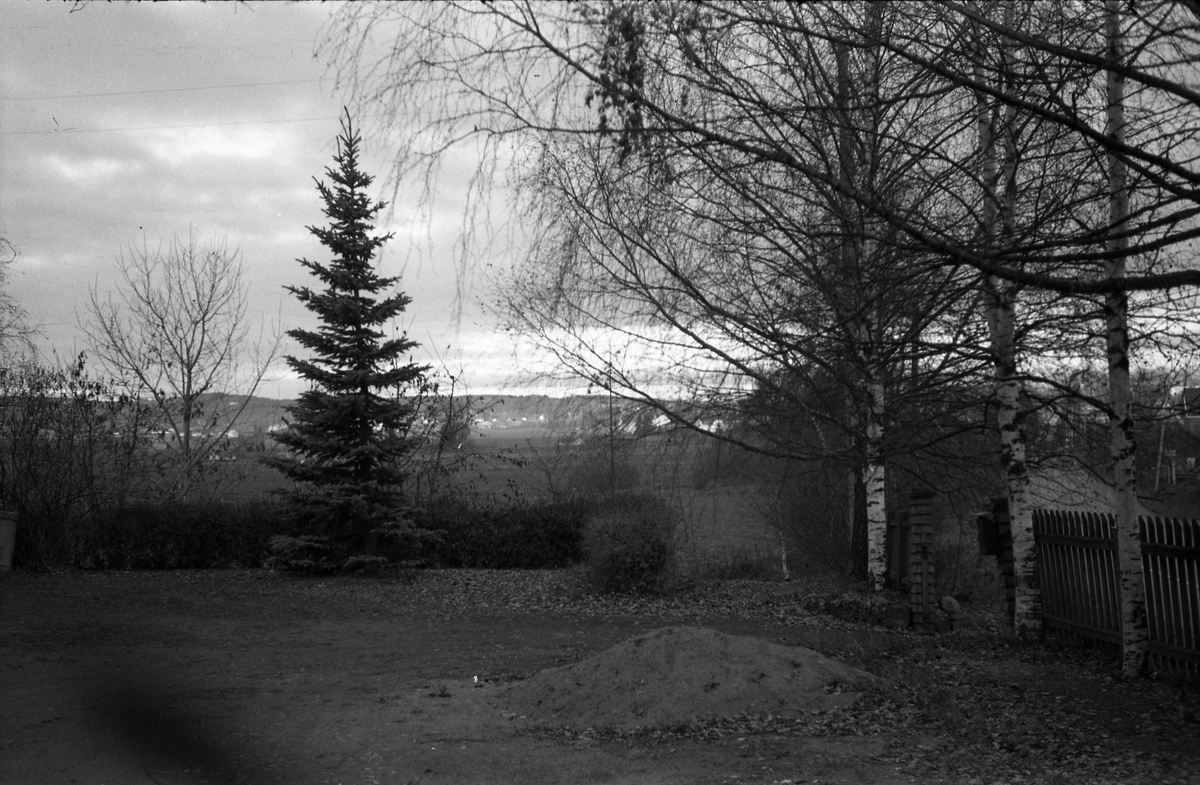 To bilder fra fotografens eiendom Odberg på Kraby, Østre Toten, senhøstes 1955.