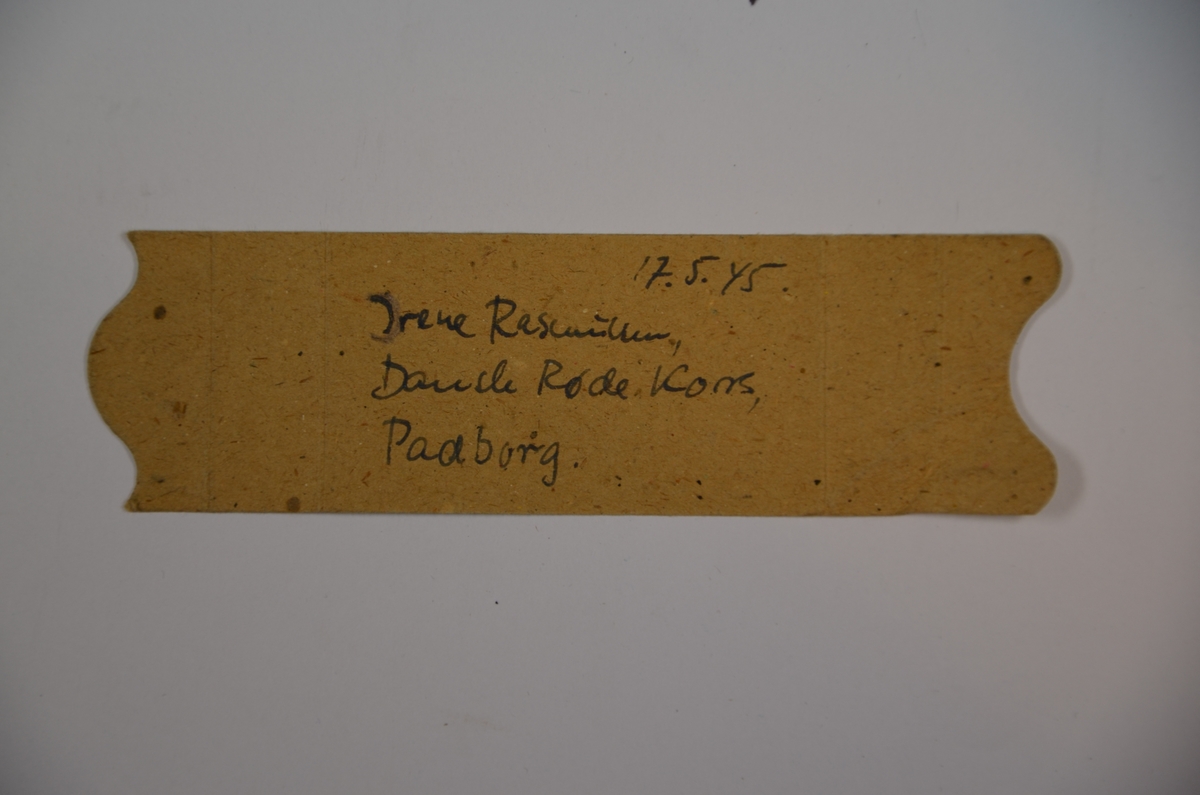 To gule Davidstjerner, et grønt identitetsmerke (brukt av politiske fanger i konsentrasjonsleire), pengesedler fra hhv. Theresienstadt og Buchenwald; tøymerke med fangenummer: 15759; fødselsarmbind fra danske røde kors; samt minnenål fra Auschwitw, datert 1984.
Gjenstandene er fra Leo Eitingers dødsbo, og ble trolig tatt med av Eitinger fra Danmark i 1945.