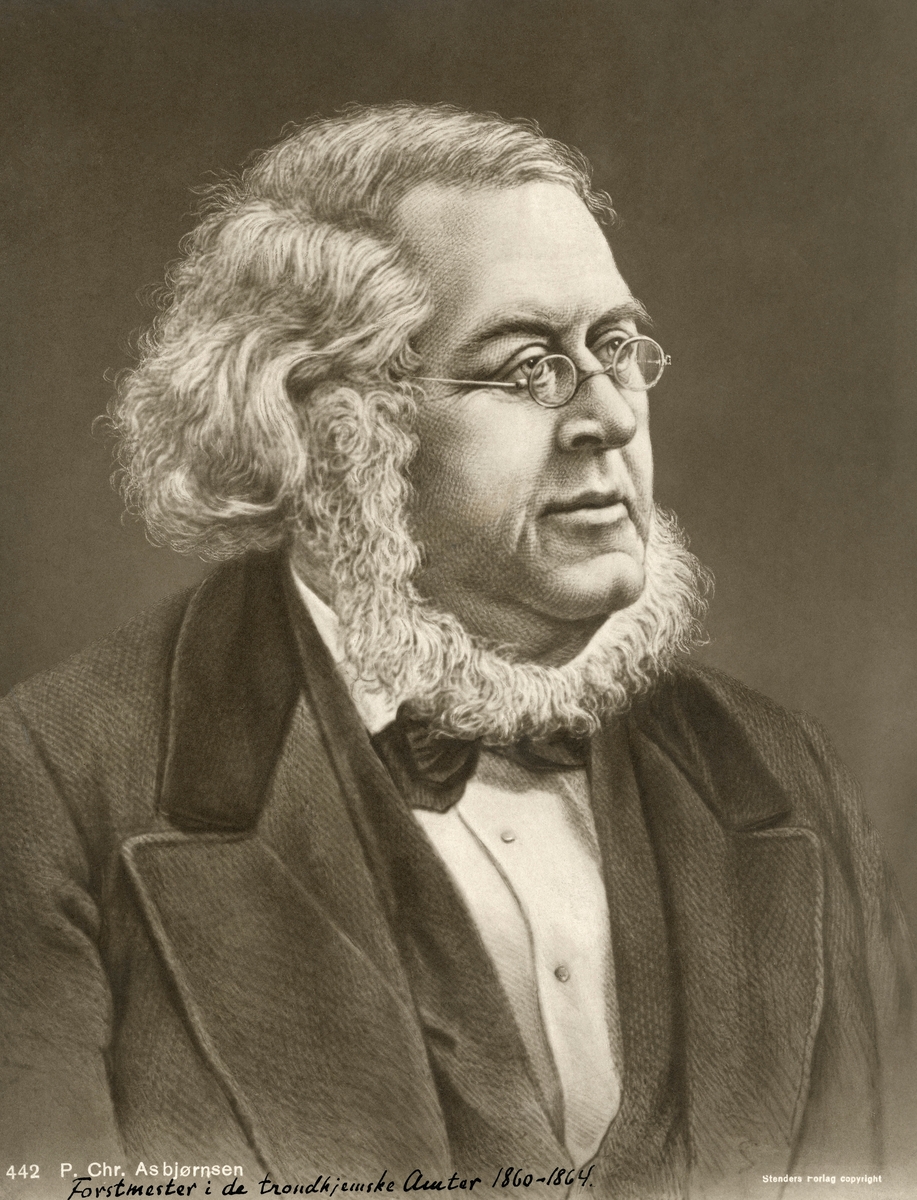 Portrett av folkeminnesamleren, zoologen og forstmannen Peter Christen