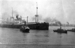 Frakteskipet "Historia" på havne i Rotterdam i 1930. Flere m